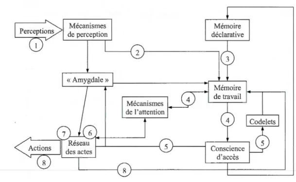 Figure 1.7  Cycle cognitif simplifié de CTS 