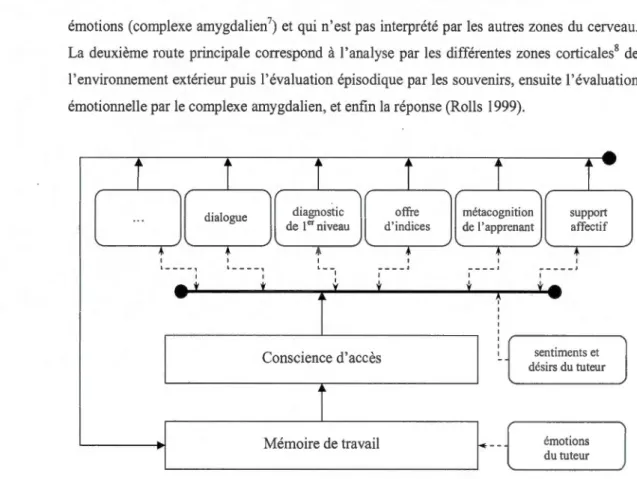 Figure 1.8  Partie du réseau  des actes de l'architecture CTS 