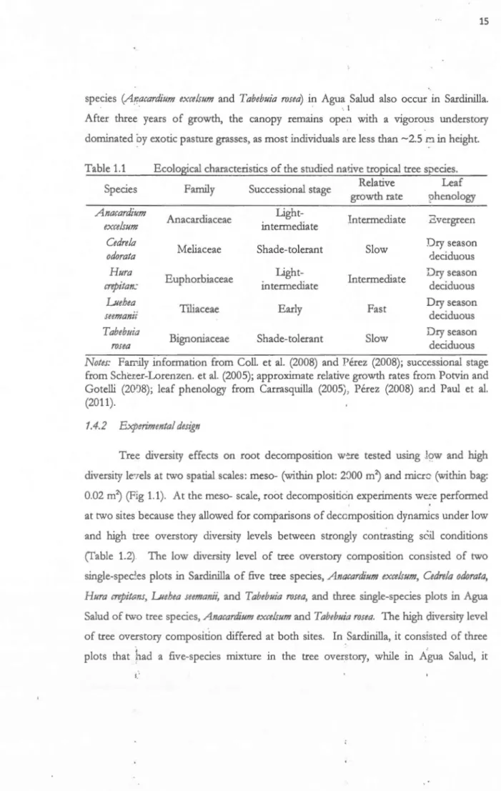 Table  1.1  Ecolo~cal  characteristics  of th e studied na1 jve troEical tree sp ecies