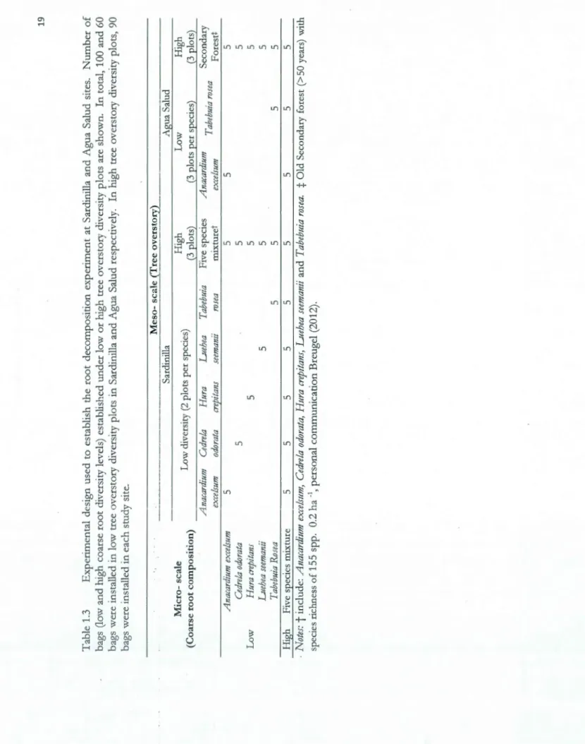 Table 1.3 Experimental design used to establish the root decomposition experiment at Sardini.lla and Agua Salud sites