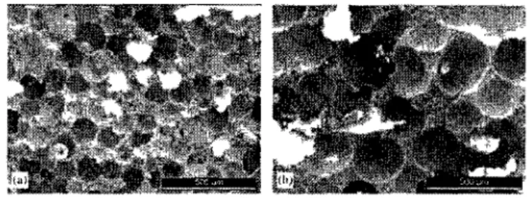 Figure 2-3 Representative SEM images of scaffolds with different pore sizes, the white  bar corresponds to 0.5 mm [Bohner et al., 2005] 