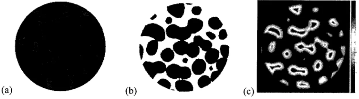 Figure 2-6 2-D representative of (a) original u€T image, (b) binary image and (c) DT  map