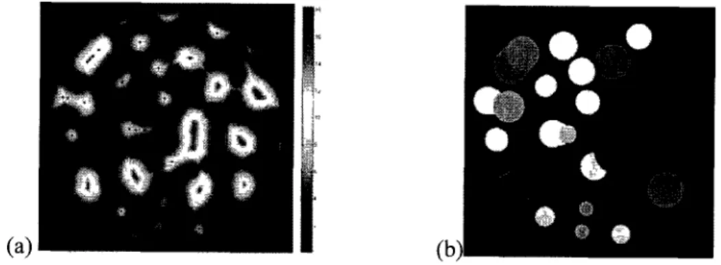 Figure 2-13 (a) 2D FDT map, local maxima as a representative of pore size are shown  with dark points.(b) Corresponding circles at local maxima with radius equal to their  FDT