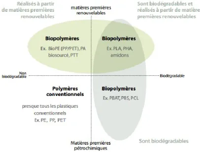 Figure 2.1 Matrice des bioplastiques (tiré de : Preventpack, s.d.) 