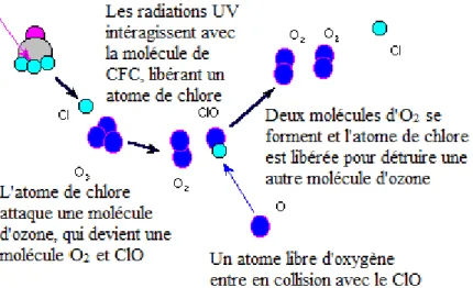 Figure 3.1 Réaction d'une molécule de CFC avec l'ozone dans la stratosphère (inspiré de :  Cooperative Institute For Meteorological Satellite Studies, s.d.) 