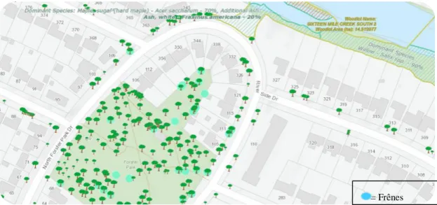 Figure  2.1 Carte  interactive  de  l’emplacement  des  arbres  de  rues  et  de  parcs  de  la  ville  d’Oakville (tiré de : Ville d’Oakville, s