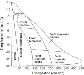 Figure 1.1  Distribution  des  principaux  biomes  en  relation  avec  la  température  moyenne annuelle de l’air et les précipitations annuelles totales 