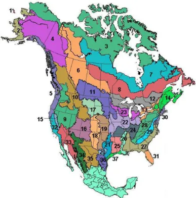 Figure 1.3 Répartition des Régions de conservation des oiseaux à travers l'Amérique du Nord  Des régions de conservations des oiseaux non présentés dans la figure sont également présentes  dans la section du Sud du Mexique (vert pâle)