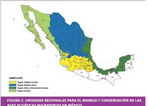 Figure  1.5  Unités  régionales  de  gestion  et  conservation  des  oiseaux  aquatiques  migrateurs  au  Mexique