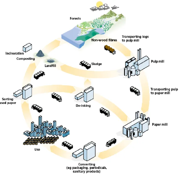 Figure 1-1. Le cycle du papier   Tiré de WBCSD (2004), p. 2. 