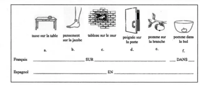Figure 4.1  Différences entre le français et l'espagnol dans l'expression des rapports de  support et de contenance (d'après Bowerman &amp; Choi, 2001)