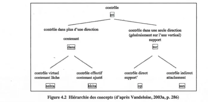 Figure 4.2  Hiérarchie des concepts (d'après Vandeloise, 2003a, p . 286) 