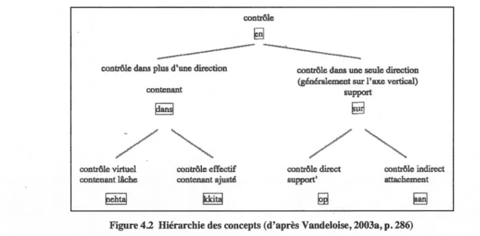 Figure 4.2  Hiérarchie des concepts (d'après Vandeloise, 2003a, p . 286) 