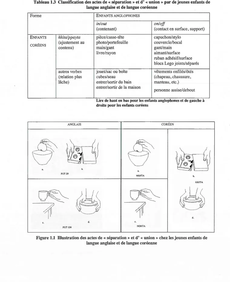 Tableau 13  Classification des actes de « séparation »et d'  «union» par de jeunes enfants de  langue anglaise et de langue coréenne 