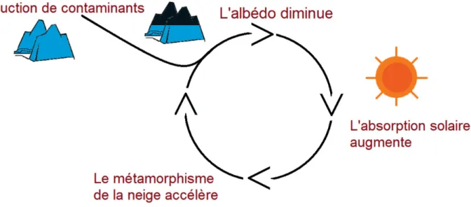 Figure 5. Exemples de la rétroaction de l’albédo et du cercle vicieux qui pourraient expliquer la fonte des glaciers (14)