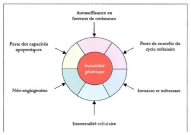 Figure 1.3  Les six mécanismes fondamentaux de  l'oncogenèse. 