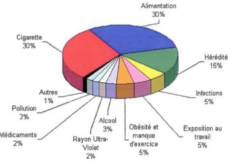 Figure 1.4  Les principaux facteurs de risques de cancer. 