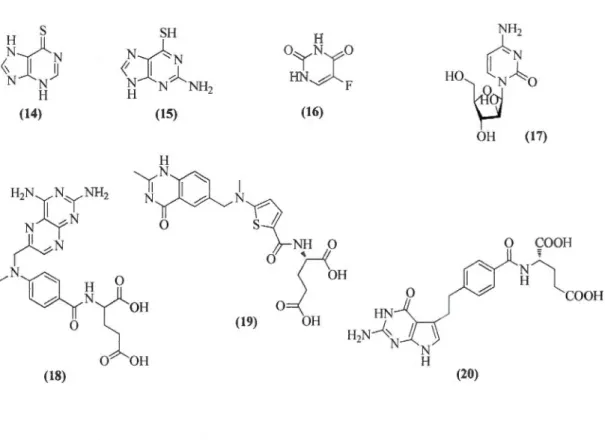 Figure 1.6  Quelques agents anticancéreux anti-métabolites. 
