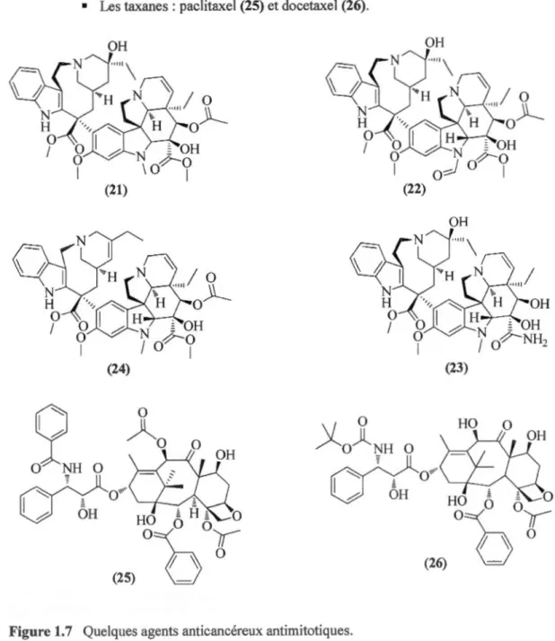 Figure 1.7  Quelques agents anticancéreux antimitotiques. 