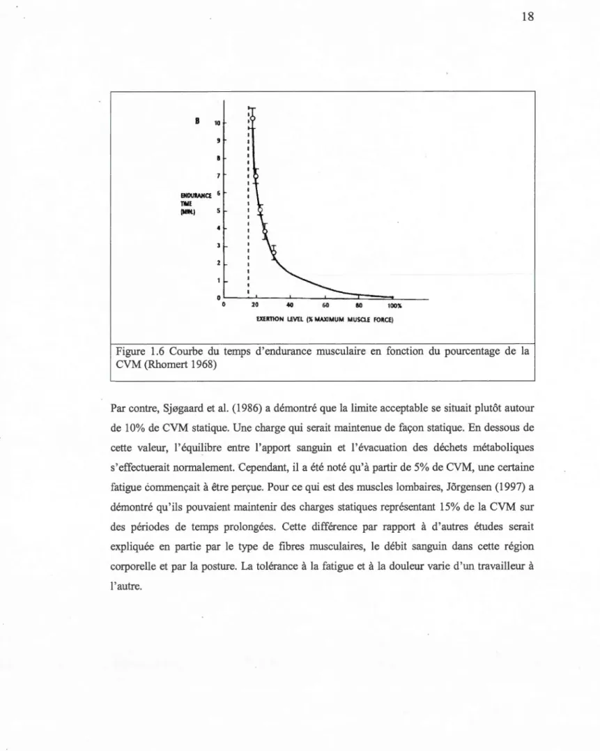 Figure  1.6  Courbe  du  temps  d'endurance  musculaire  en  fonction  du  pourcentage  de  la  CVM (Rhomert 1968) 