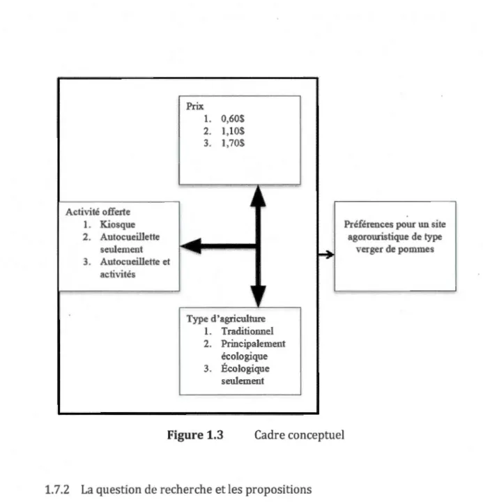 Figure 1 .3  Cadre conceptuel 