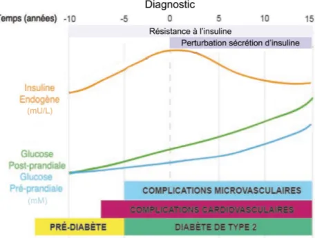 Figure 1: Progression du diabète mellitus de type 2 et de ses complications. 