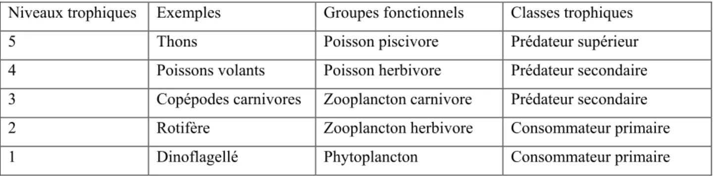 Tableau 1.1 Exemples des niveaux trophiques dans un écosystème marin (inspiré de FAO, 2014a)  Niveaux trophiques   Exemples  Groupes fonctionnels  Classes trophiques 