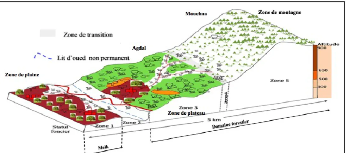 Figure  3.1 : Modélisation spatiale du statut foncier et son exploitation, inspiré de (El Wahidi, 2013) 