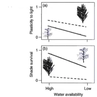 Figure 0.1  Ptastkité · phêMtypique  en  · rêponse  à  ta  lmrîiê· re  (a)  et  suJ&#34;V· ie  juvénHe  (b)  de  semis de deux différentes espèces (feuillus et conifère) selon une disponibilité en  eau  variable