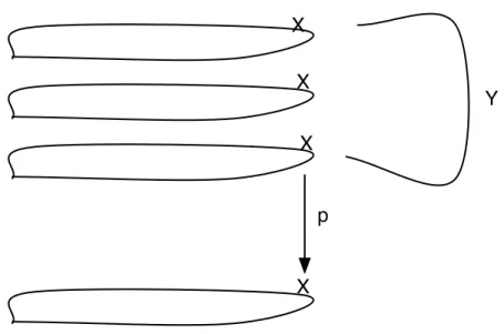 Figure 1. Exemple de Revêtement X X X X p Y