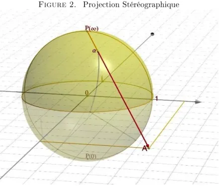 Figure 2. Projection Stéréographique