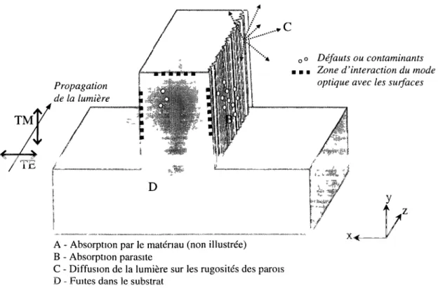 Figure 3.6 : Les différentes pertes de propagation au sein d'un guide d'onde 