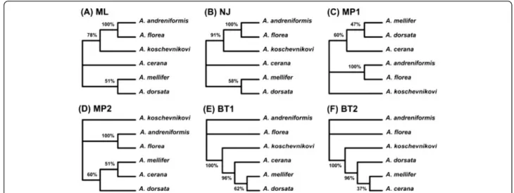 Figure 4 The set of six gene trees (A-F) obtained using different tree reconstruction methods for honeybee dataset