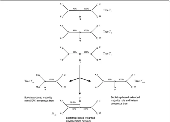 Figure 1 Bootstrap-based consensus trees and networks. Bootstrap-based majority rule consensus tree T bm , bootstrap-based extended majority rule consensus tree T bem and weighted implicit phylogenetic network N 123 for a collection of three binary phyloge