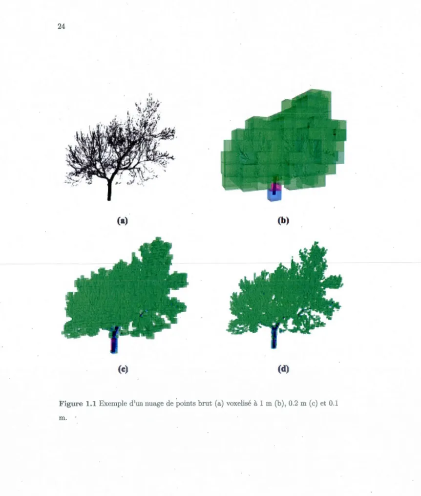 Figure  1.1  Exemple d'un nuage  de  points brut  (a)  voxelisé  à  1 m  (b),  0.2  m  (c)  et  0.1  m 