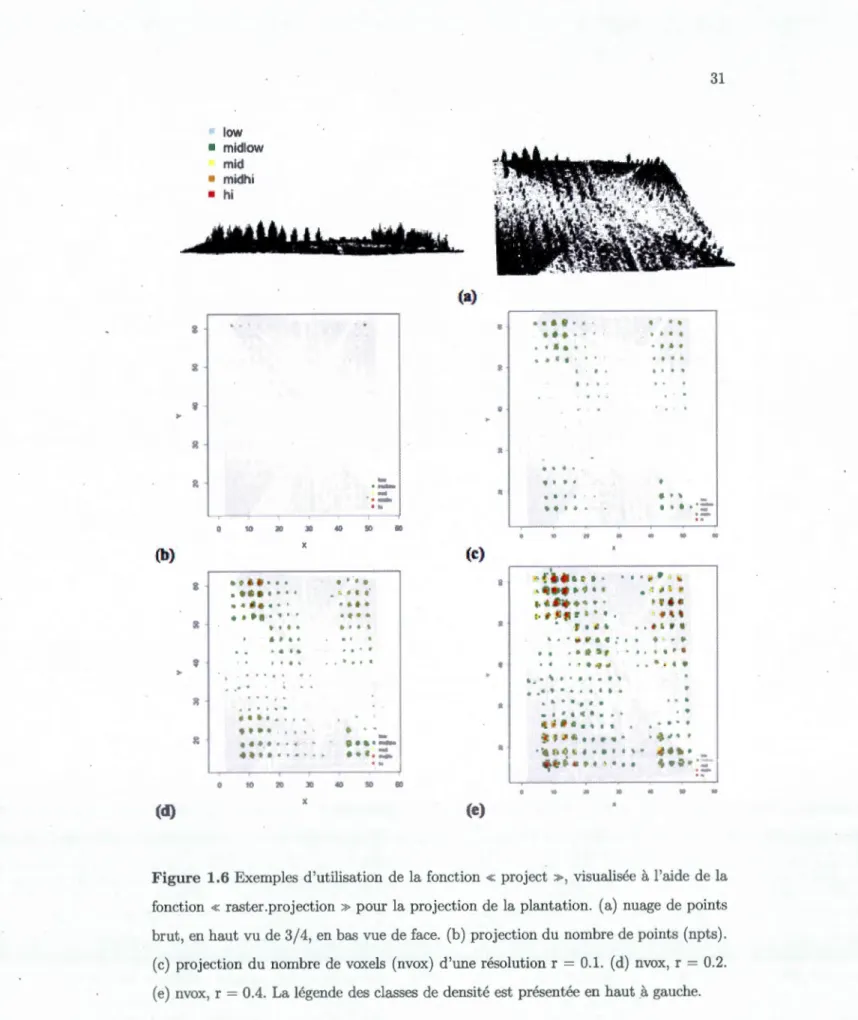 Figure  1.6 Exemples  d'utilisation  de  la fonction  «  project  »,  visualisée à  l'aide  de  la  fonction  «  raster.projection »pour la  projection  de  la plantation