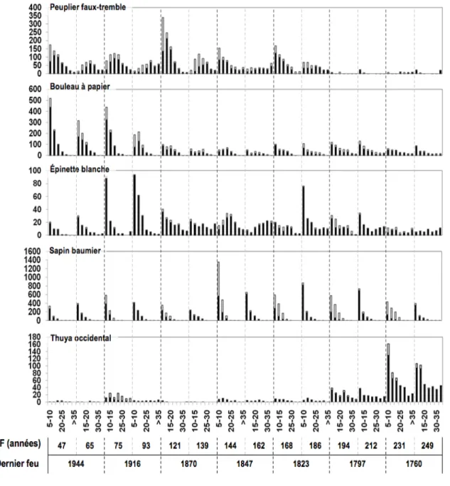 Figure 4  Histogrammes de la distribution des classes de diamètres (classes de 5 cm) par  espèce, pour tous les arbres de plus de 5 cm de DHP, selon le temps depuis le dernier feu  (TDF)