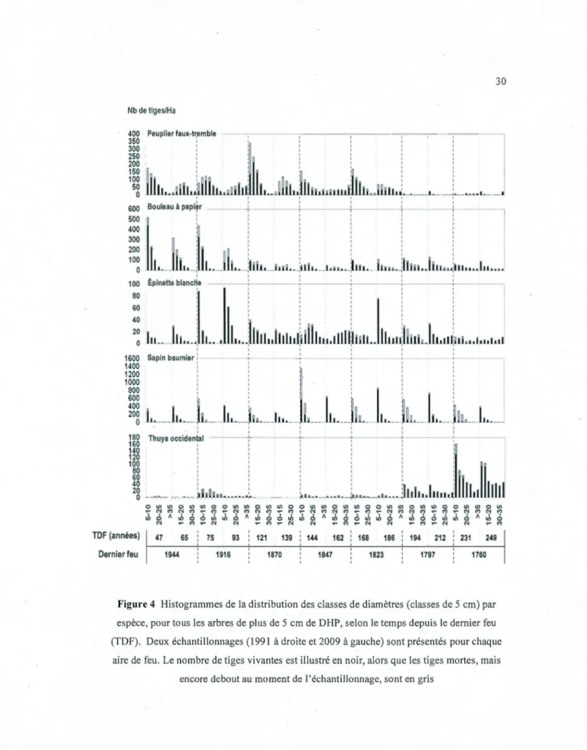Figure 4  Histogrammes de  la distribution des classes de diamètres  (classes de 5  cm) par  espèce, pour tous les  arbres de plus de 5  cm de DHP , selon le temps depui s  le dernier feu  (TDF)