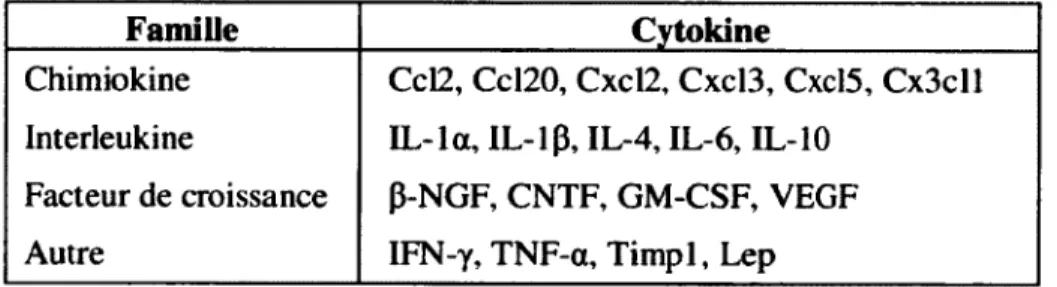 Tableau  3:  Liste  des  cytokines  analysées  avec  la  micropuce  à  cytokines  « RayBio®  Rat  Cytokine Antibody Array G Sériés ».