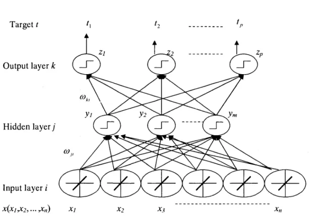 Fig 2.4 Typical BackPropagation Network 