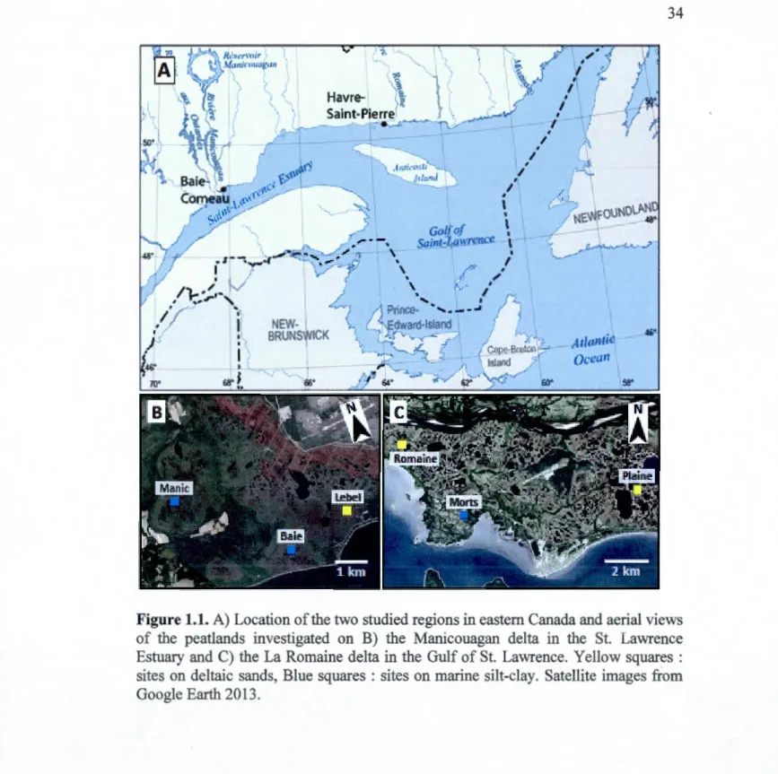 Figure  1.1.  A)  Location of the two studied regions in eastern Canada and aerial views  of the  peatlands  investigated  on  B)  the  Manicouagan  delta  in  the  St  Lawrence  Estuary  and  C)  the  La Romaine delta  in the  Gulf of St Lawrence