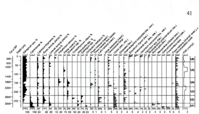 Figure 1.8.  Plant macrof ossil dia gram of Morts peatland.  The bars represent the scale  of  abundance  (1 =  rare,  5=  abundant)