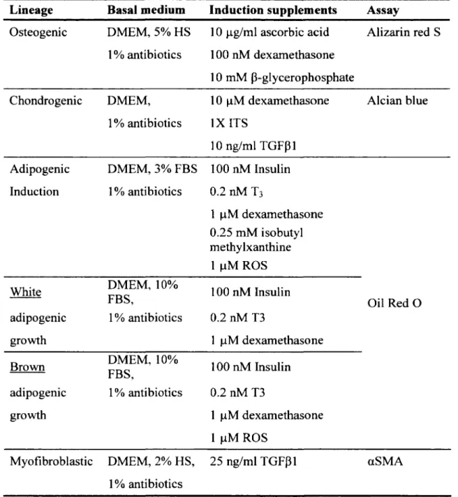 Table 4:  Summary of the multilineage différentiation media composition Lineage Basai medium Induction suppléments Assay Ostéogénie DMEM,  5% HS  1 % antibiotics 10  pg/ml ascorbic acid  100 nM dexamethasone  10 mM  P-glycerophosphate Alizarin red  S Chond