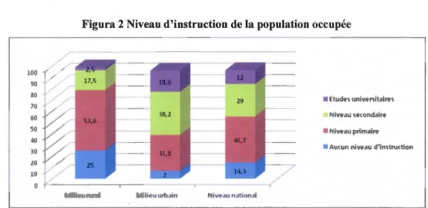 Figura 2 Niveau d'instruction de la population  occupée  100  90  80  ~ /  /:: 70  60  -~ 50  ~0  /  30  •  Etudes universitaires Niveau secondaire • Nivellu primaire 