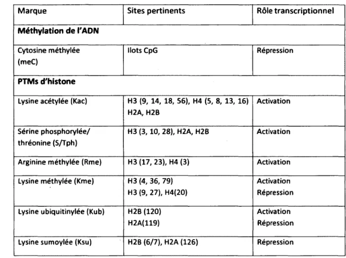 Tableau 2: Les modifications de la chromatine  (Adapté de (Berger, 2007)). 