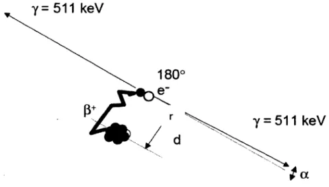 Figure 2.4 :  Schéma d’annihilation d’un positron avec un électron du milieu  [27]