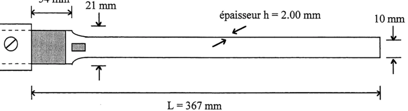 Figure 1.2 Dimensions de la poutre