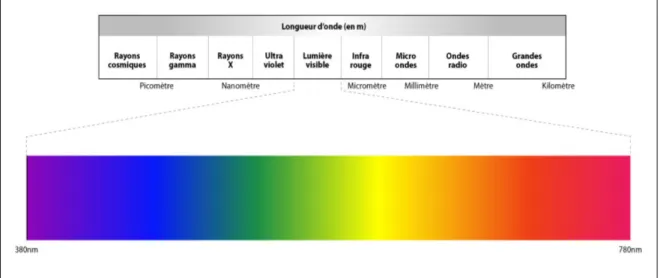 figure 1.3 – Spectre lumineux, image provenant de [36]