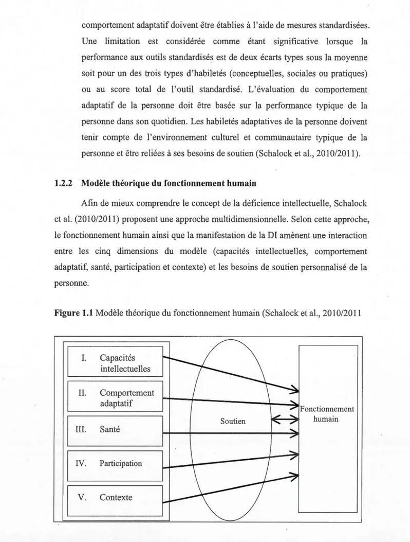 Figure 1.1  Modèle théorique du fonctionnement humain (Schalock et al. ,  2010/2011 