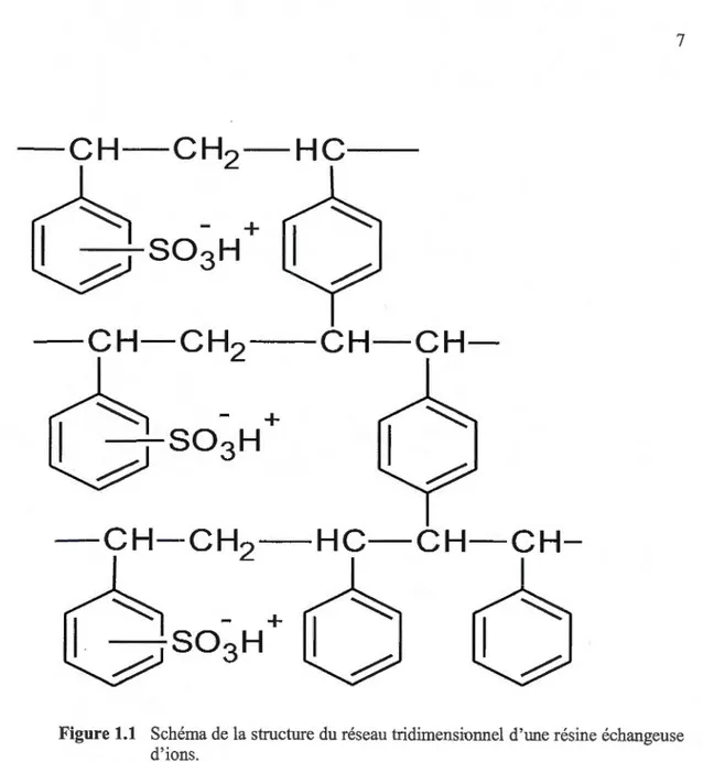 Figure 1.1  Schéma de  la structure du réseau tridimensionnel d'une résine échangeuse  d'ions